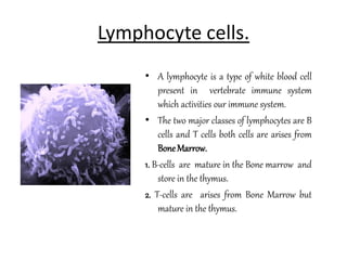 Lymphocyte cells.
• A lymphocyte is a type of white blood cell
present in vertebrate immune system
which activities our immune system.
• The two major classes of lymphocytes are B
cells and T cells both cells are arises from
BoneMarrow.
1. B-cells are mature in the Bone marrow and
store in the thymus.
2. T-cells are arises from Bone Marrow but
mature in the thymus.
 