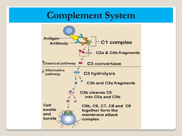 CdC CROSSMATCH(CDCXM)