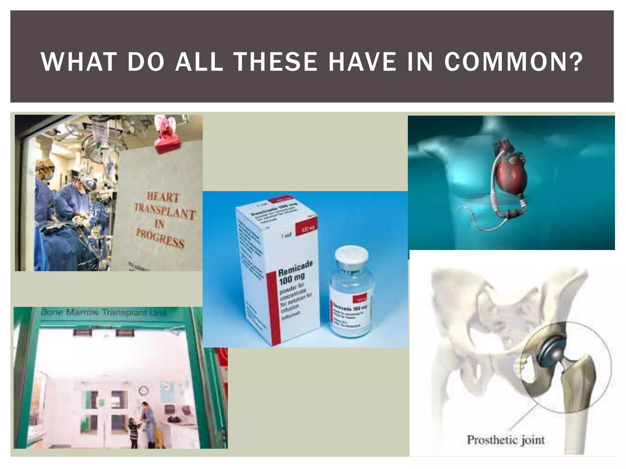 WHAT DO ALL THESE HAVE IN COMMON? 
 