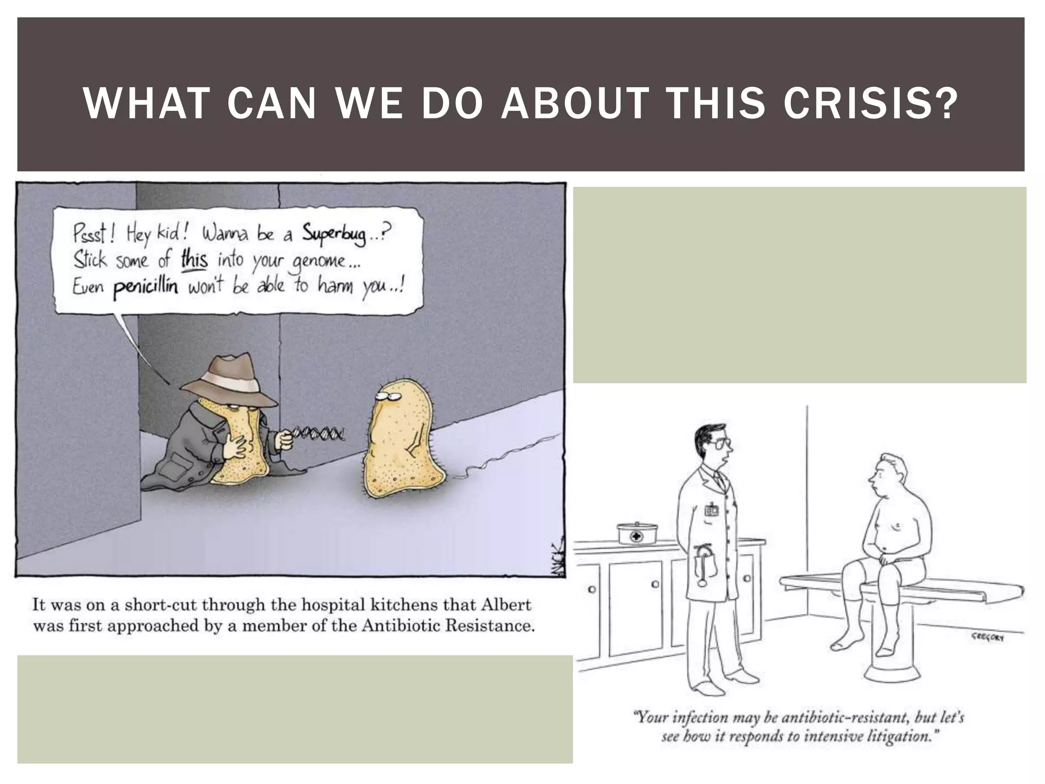 WHAT CAN WE DO ABOUT THIS CRISIS? 
 