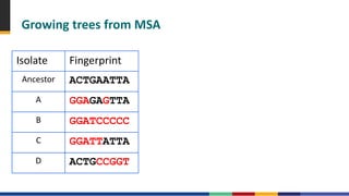 Msa Tree CDC How to read a phylogenetic tree.pdf