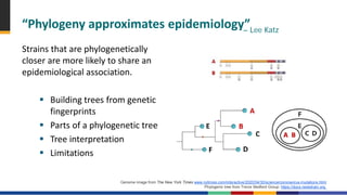 CDC How to read a phylogenetic tree.pdf