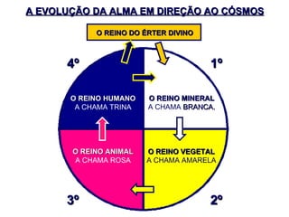A EVOLUÇÃO DA ALMA EM DIREÇÃO AO CÓSMOS O REINO HUMANO A CHAMA TRINA O REINO MINERAL A CHAMA  BRANCA. O REINO VEGETAL A CHAMA AMARELA O REINO ANIMAL A CHAMA ROSA 1º 2º 3º 4º O REINO DO ÉRTER DIVINO 