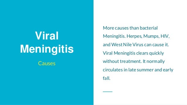 Can Meningitis In Dogs Be Contagious Can Meningitis In Dogs Be Contagious