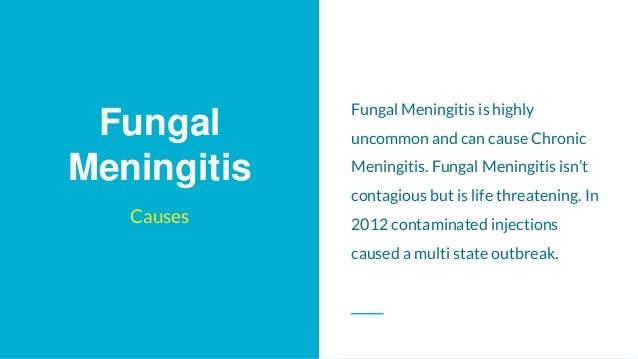 Can Meningitis In Dogs Be Contagious Can Meningitis In Dogs Be Contagious
