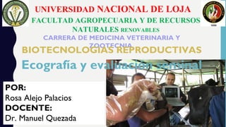 POR:
Rosa Alejo Palacios
DOCENTE:
Dr. Manuel Quezada
UNIVERSIDAD NACIONAL DE LOJA
FACULTAD AGROPECUARIA Y DE RECURSOS
NATURALES RENOVABLES
CARRERA DE MEDICINA VETERINARIA Y
ZOOTECNIA
BIOTECNOLOGIAS REPRODUCTIVAS
Ecografía y evaluación seminal
 