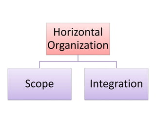 Horizontal
Organization
Scope Integration
 