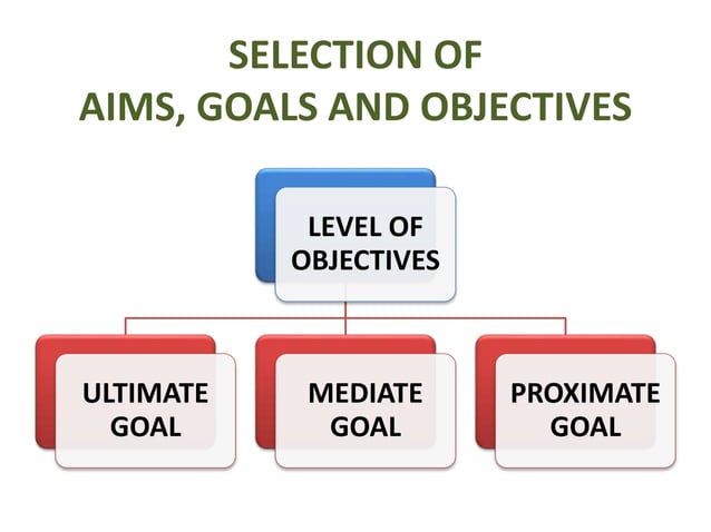 Process Of Curriculum Development