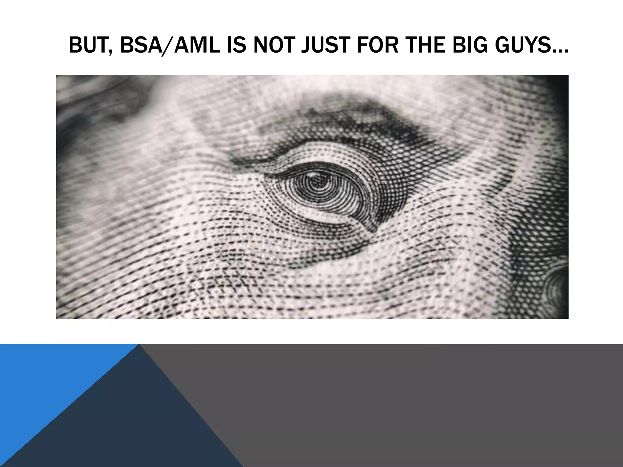 BUT, BSA/AML IS NOT JUST FOR THE BIG GUYS…
 