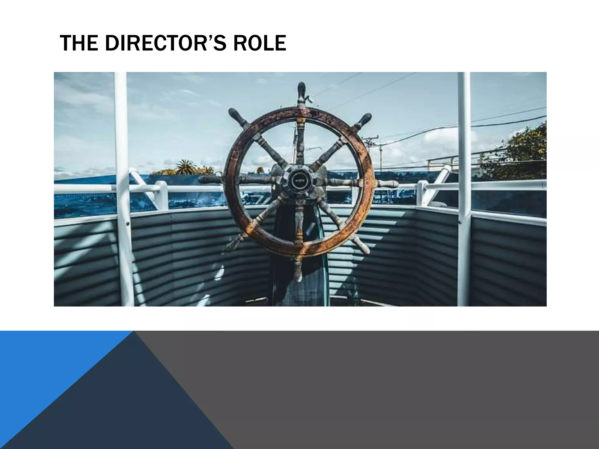 THE DIRECTOR’S ROLE
 