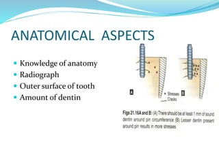 ANATOMICAL ASPECTS
 Knowledge of anatomy
 Radiograph
 Outer surface of tooth
 Amount of dentin
 