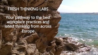 FRESH THINKING LABS
Your pathway to the best
workplace practices and
latest thinking from across
Europe
 