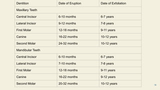 CDE _ Difference Between Primary Dentition & Permanent Dentition.pptx