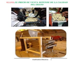RECUERDE: EL PRECIO DE VENTA DEPENDE DE LA CALIDAD
DEL GRANO
 