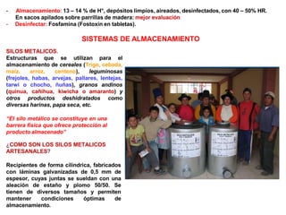 - Almacenamiento: 13 – 14 % de H°, depósitos limpios, aireados, desinfectados, con 40 – 50% HR.
En sacos apilados sobre parrillas de madera: mejor evaluación
- Desinfectar: Fosfamina (Fostoxín en tabletas).
SISTEMAS DE ALMACENAMIENTO
SILOS METALICOS.
Estructuras que se utilizan para el
almacenamiento de cereales (Trigo, cebada,
maíz, arroz, centeno), leguminosas
(frejoles, habas, arvejas, pallares, lentejas,
tarwi o chocho, ñuñas), granos andinos
(quinua, cañihua, kiwicha o amaranto) y
otros productos deshidratados como
diversas harinas, papa seca, etc.
“El silo metálico se constituye en una
barrera física que ofrece protección al
producto almacenado”
¿COMO SON LOS SILOS METALICOS
ARTESANALES?
Recipientes de forma cilíndrica, fabricados
con láminas galvanizadas de 0,5 mm de
espesor, cuyas juntas se sueldan con una
aleación de estaño y plomo 50/50. Se
tienen de diversos tamaños y permiten
mantener condiciones óptimas de
almacenamiento.
 