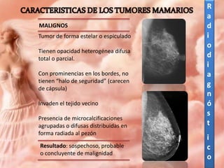 MALIGNOS
Tumor de forma estelar o espiculado

Tienen opacidad heterogénea difusa
total o parcial.
Con prominencias en los bordes, no
tienen “halo de seguridad” (carecen
de cápsula)
Invaden el tejido vecino
Presencia de microcalcificaciones
agrupadas o difusas distribuidas en
forma radiada al pezón
Resultado: sospechoso, probable
o concluyente de malignidad

R
a
d
i
o
d
i
a
g
n
ó
s
t

i
c
o

 