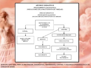 NOM-041-SSA2-2002, PARA LA PREVENCION, DIAGNOSTICO, TRATAMIENTO, CONTROL Y VIGILANCIA EPIDEMIOLOGICA DEL
CANCER DE MAMA.

 