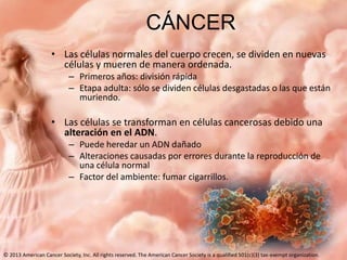 CÁNCER
• Las células normales del cuerpo crecen, se dividen en nuevas
células y mueren de manera ordenada.
– Primeros años: división rápida
– Etapa adulta: sólo se dividen células desgastadas o las que están
muriendo.

• Las células se transforman en células cancerosas debido una
alteración en el ADN.
– Puede heredar un ADN dañado
– Alteraciones causadas por errores durante la reproducción de
una célula normal
– Factor del ambiente: fumar cigarrillos.

© 2013 American Cancer Society, Inc. All rights reserved. The American Cancer Society is a qualified 501(c)(3) tax-exempt organization.

 