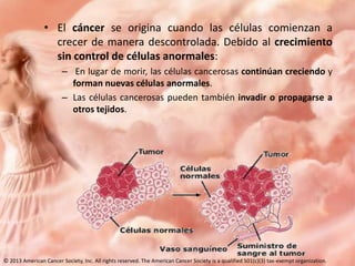 • El cáncer se origina cuando las células comienzan a
crecer de manera descontrolada. Debido al crecimiento
sin control de células anormales:
– En lugar de morir, las células cancerosas continúan creciendo y
forman nuevas células anormales.
– Las células cancerosas pueden también invadir o propagarse a
otros tejidos.

© 2013 American Cancer Society, Inc. All rights reserved. The American Cancer Society is a qualified 501(c)(3) tax-exempt organization.

 