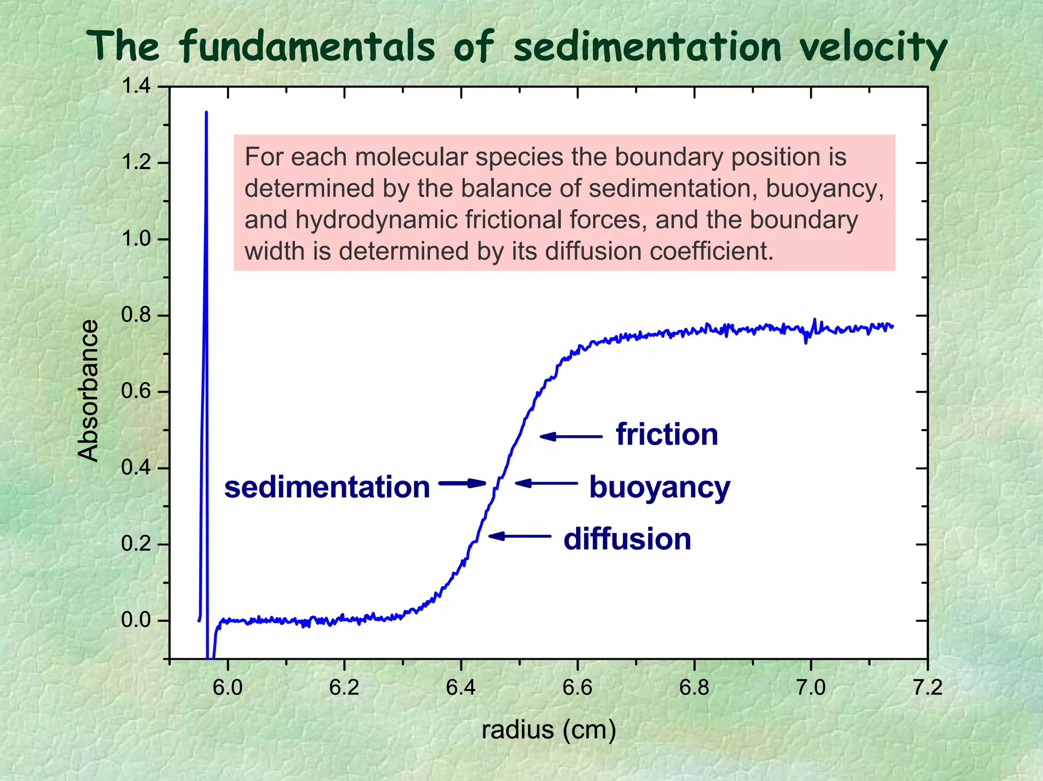 6.0 6.2 6.4 6.6 6.8 7.0 7.2
0.0
0.2
0.4
0.6
0.8
1.0
1.2
1.4Absorbance
radius (cm)
meniscus
plateau
boundary
region of solute depletion
6.0 6.2 6.4 6.6 6.8 7.0 7.2
0.0
0.2
0.4
0.6
0.8
1.0
1.2
1.4Absorbance
radius (cm)
The sedimentation coefficient is
determined from the rate of boundary
motion. It depends on both molecular
weight and shape (conformation).
6.0 6.2 6.4 6.6 6.8 7.0 7.2
0.0
0.2
0.4
0.6
0.8
1.0
1.2
1.4Absorbance
radius (cm)
friction
diffusion
buoyancysedimentation
For each molecular species the boundary position is
determined by the balance of sedimentation, buoyancy,
and hydrodynamic frictional forces, and the boundary
width is determined by its diffusion coefficient.
The fundamentals of sedimentation velocity
 