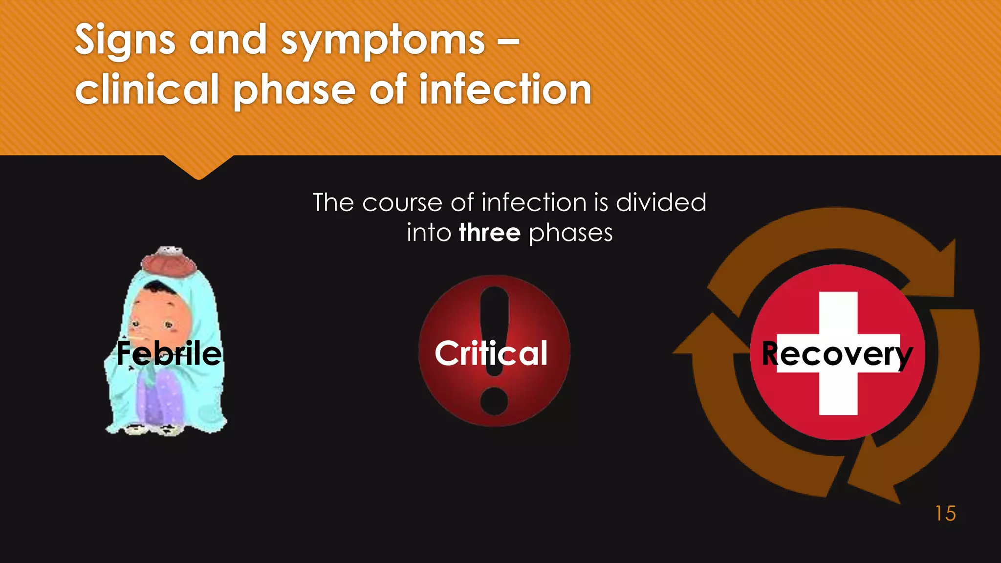 Signs and symptoms –
clinical phase of infection
The course of infection is divided
into three phases
Febrile Critical Recovery
15
 