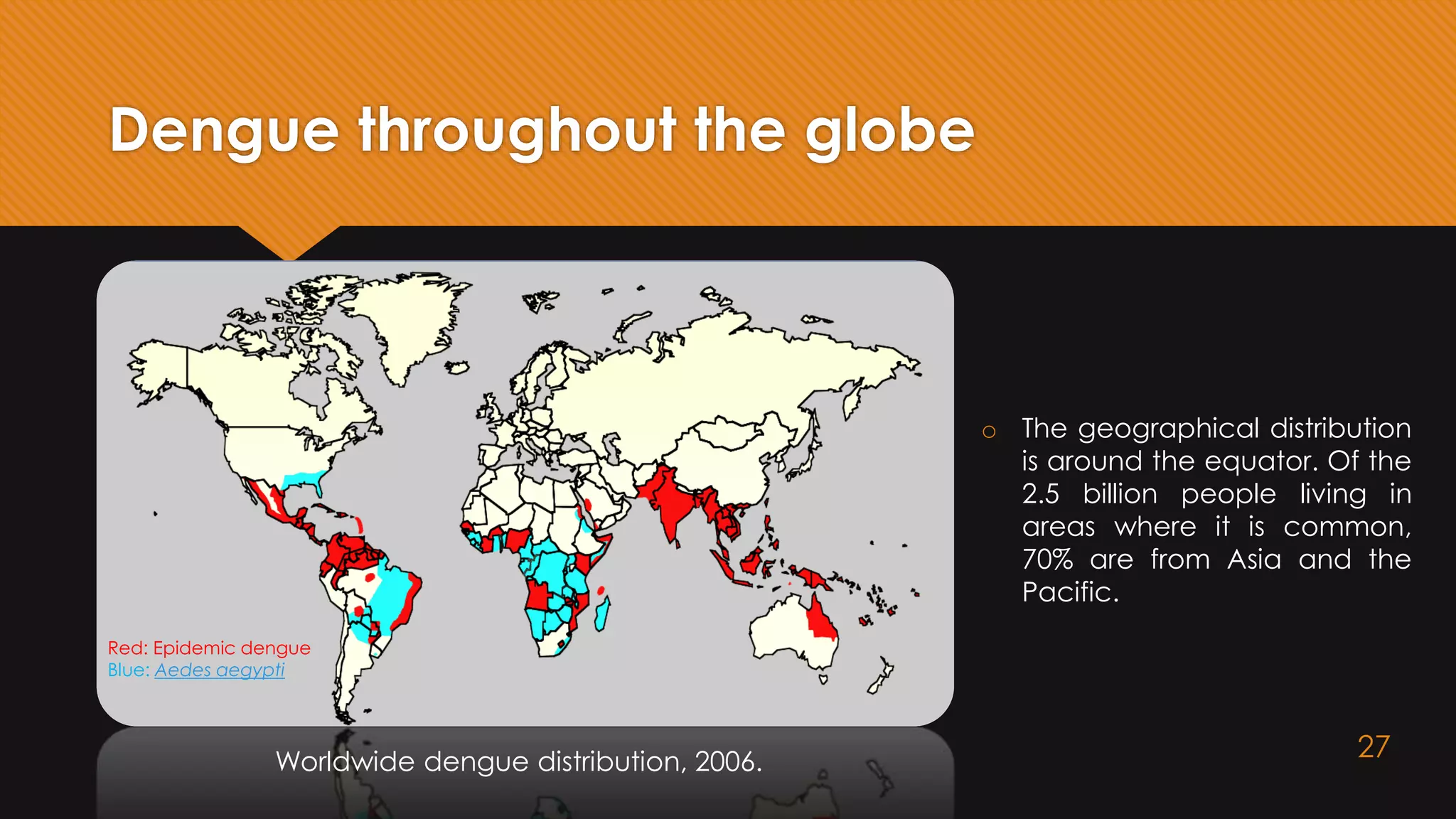 Dengue throughout the globe
Worldwide dengue distribution, 2006.
Red: Epidemic dengue
Blue: Aedes aegypti
o The geographical distribution
is around the equator. Of the
2.5 billion people living in
areas where it is common,
70% are from Asia and the
Pacific.
27
 