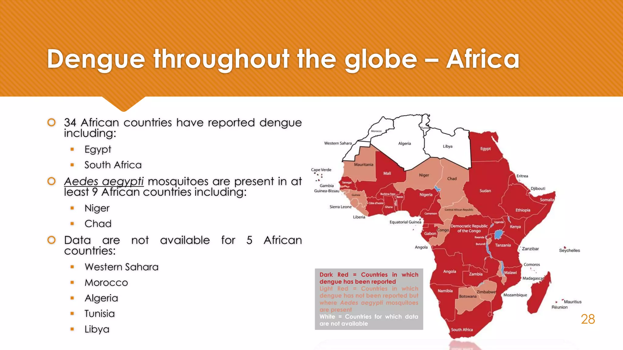 Dengue throughout the globe – Africa
 34 African countries have reported dengue
including:
 Egypt
 South Africa
 Aedes aegypti mosquitoes are present in at
least 9 African countries including:
 Niger
 Chad
 Data are not available for 5 African
countries:
 Western Sahara
 Morocco
 Algeria
 Tunisia
 Libya
Dark Red = Countries in which
dengue has been reported
Light Red = Countries in which
dengue has not been reported but
where Aedes aegypti mosquitoes
are present
White = Countries for which data
are not available 28
 