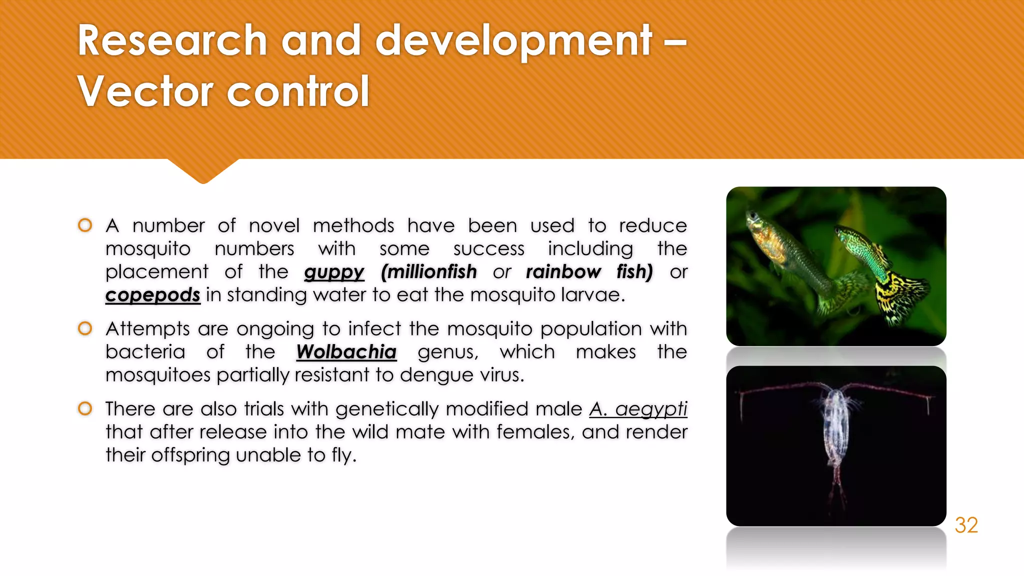 Research and development –
Vector control
 A number of novel methods have been used to reduce
mosquito numbers with some success including the
placement of the guppy (millionfish or rainbow fish) or
copepods in standing water to eat the mosquito larvae.
 Attempts are ongoing to infect the mosquito population with
bacteria of the Wolbachia genus, which makes the
mosquitoes partially resistant to dengue virus.
 There are also trials with genetically modified male A. aegypti
that after release into the wild mate with females, and render
their offspring unable to fly.
32
 
