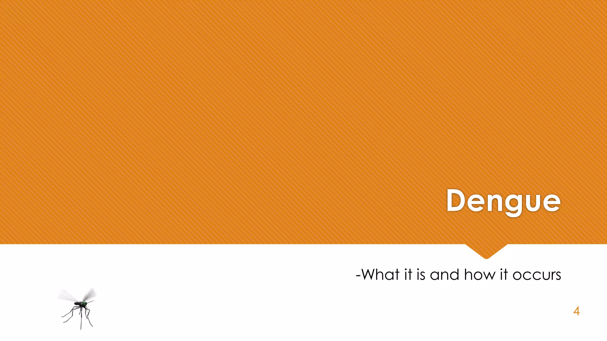 Dengue
-What it is and how it occurs
4
 