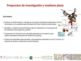 Investigaciones sore Cadmio en el Cacao Colombiano