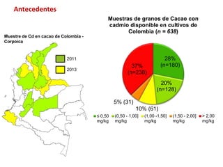 Investigaciones sore Cadmio en el Cacao Colombiano