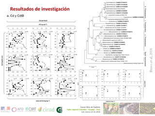Investigaciones sore Cadmio en el Cacao Colombiano