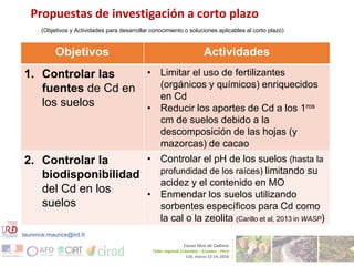 Cadmium bioaccumulation and gastric bioaccessibility in cacao: A field study in Ecuador 