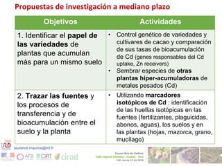 Cadmium bioaccumulation and gastric bioaccessibility in cacao: A field study in Ecuador 