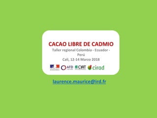 Cadmium bioaccumulation and gastric bioaccessibility in cacao: A field study in Ecuador 