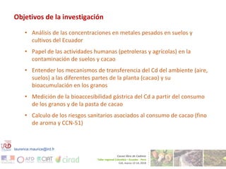 Cadmium bioaccumulation and gastric bioaccessibility in cacao: A field study in Ecuador 