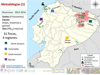 Cadmium bioaccumulation and gastric bioaccessibility in cacao: A field study in Ecuador 