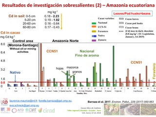 Cadmium bioaccumulation and gastric bioaccessibility in cacao: A field study in Ecuador 