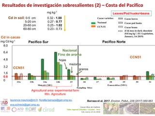 Cadmium bioaccumulation and gastric bioaccessibility in cacao: A field study in Ecuador 