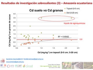 Cadmium bioaccumulation and gastric bioaccessibility in cacao: A field study in Ecuador 