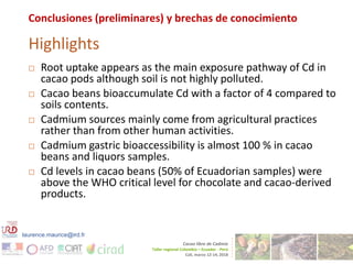 Cadmium bioaccumulation and gastric bioaccessibility in cacao: A field study in Ecuador 
