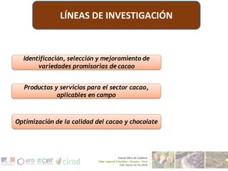CENTRO DE INNOVACIÓN DEL CACAO PERÚ