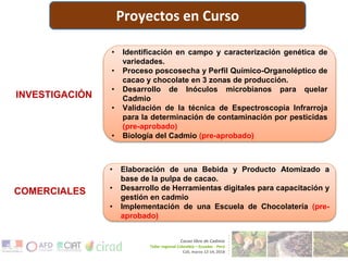 CENTRO DE INNOVACIÓN DEL CACAO PERÚ