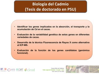 CENTRO DE INNOVACIÓN DEL CACAO PERÚ