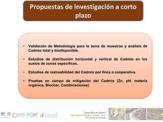 CENTRO DE INNOVACIÓN DEL CACAO PERÚ