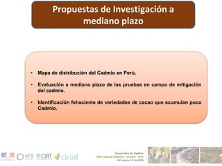 CENTRO DE INNOVACIÓN DEL CACAO PERÚ