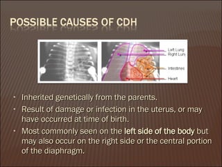 Inherited genetically from the parents. Result of damage or infection in the uterus, or may have occurred at time of birth.  Most commonly seen on the  left side of the body  but may also occur on the right side or the central portion of the diaphragm.  