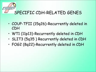 SPECIFIC CDH-RELATED GENES
• COUP-TFII (15q26)-Recurrently deleted in
CDH
• WT1 (11p13)-Recurrently deleted in CDH
• SLIT3 (5q35 ) Recurrently deleted in CDH
• FOG2 (8q22)-Recurrently deleted in CDH
 