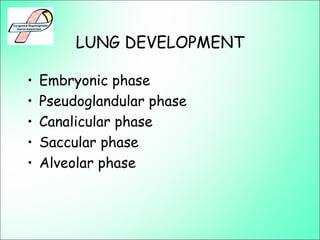 LUNG DEVELOPMENT
• Embryonic phase
• Pseudoglandular phase
• Canalicular phase
• Saccular phase
• Alveolar phase
 