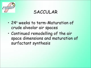 SACCULAR
• 24th
weeks to term-Maturation of
crude alveolar air spaces
• Continued remodelling of the air
space dimensions and maturation of
surfactant synthesis
 